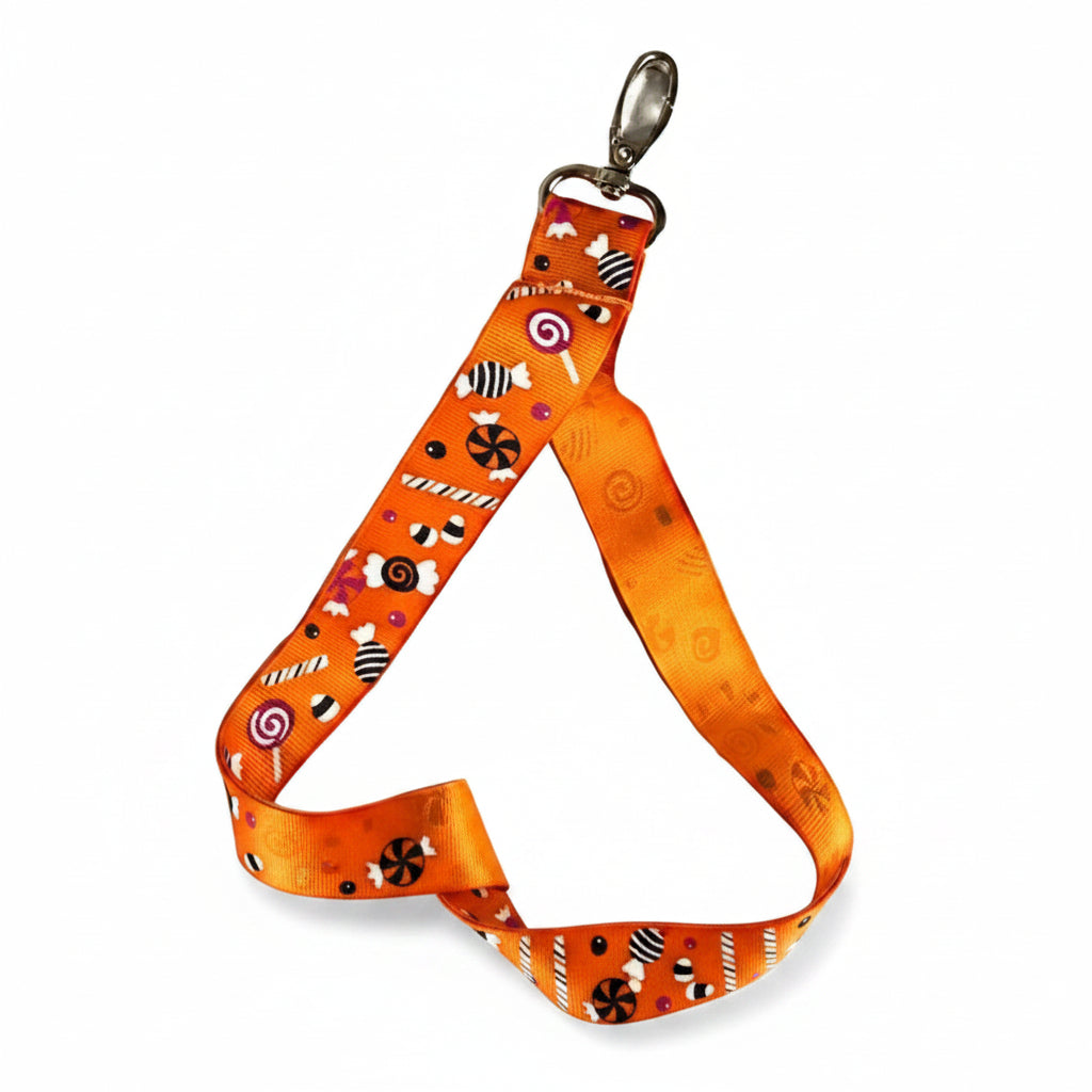 Porte carte ou cle ideal pour les enfants ou les soignants